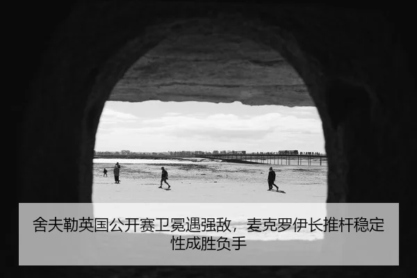 she-fu-lei-ying-guo-gong-kai-sai-wei-mian-yu-qiang-di-mai-ke-luo-yi-zhang-tui-gan-wen-ding-xing-cheng-sheng-fu-shou-1-265.jpg